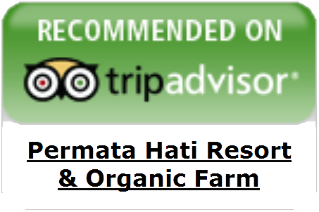 Tripadvisor