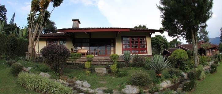 Bungalow